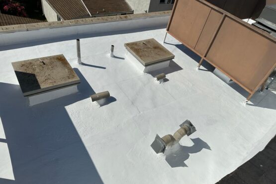flat-roof-silicon-roof