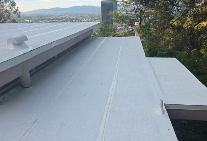 Roofing Services in San Fernando Valley & Santa Clarita